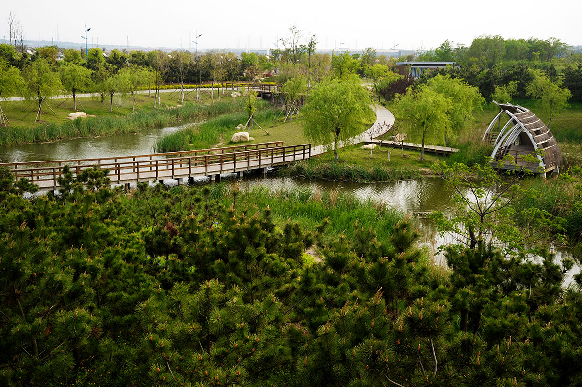 2024群力国家城市湿地公园游玩攻略,秋日哈尔滨，最美的地方就是...【去哪儿攻略】