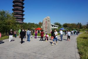 大沽河度假区国庆旅游人数创新高 文化游成新亮点