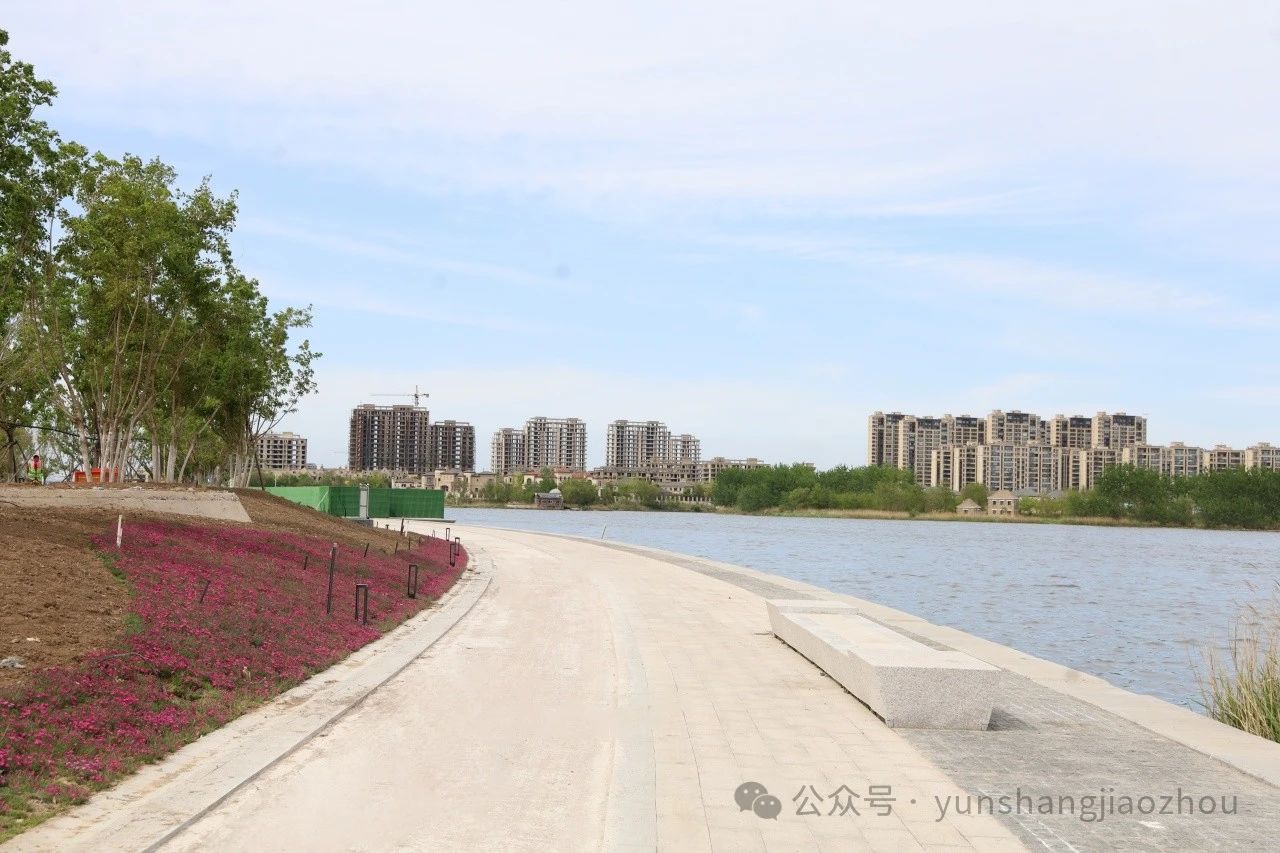 胶州人有新公园逛喽！名叫金月湾，长约1500米！“五一”对外开放，位置就在大沽河省级生态旅游度假区